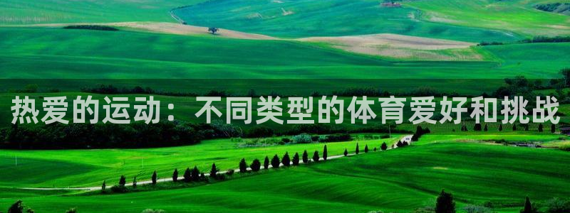 oety欧亿体育官网下载平台APP:热爱的运动:不同类型的体