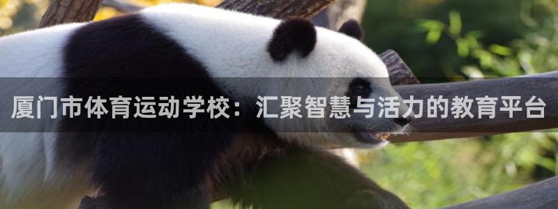 注册欧亿体育官方正版app:厦门市体育运动学校:汇聚智慧与活