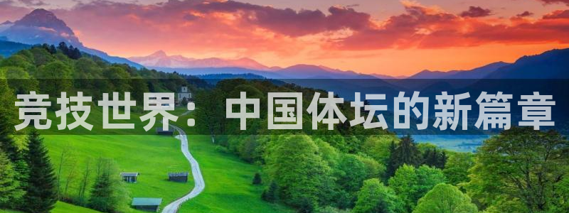 德国欧亿体育官方正版app集团:竞技世界:中国体坛的新篇章